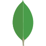 MongoDB Documentation