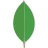 MongoDB Documentation